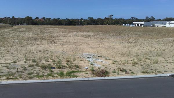 The paddock that turned the rc8 into a birds nest