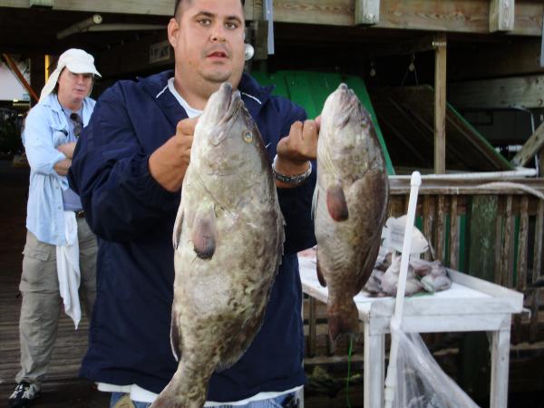 Dec08 Black Grouper